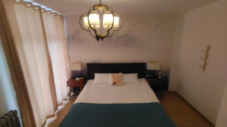 YY寓艳推荐/大明湖畔唯一看大明湖湖景/近泉城广场/可住5人两居室 Vacation rental in Shandong