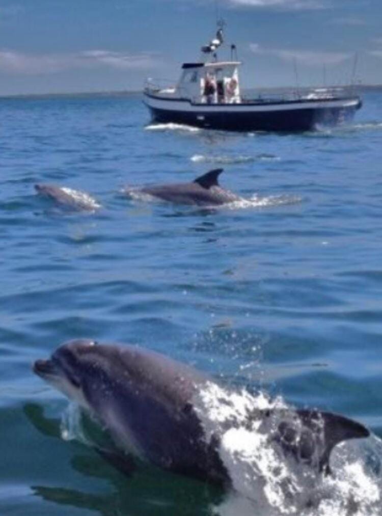 Ross Beach Family Farmhouse B&B Bed and Breakfast in County Mayo