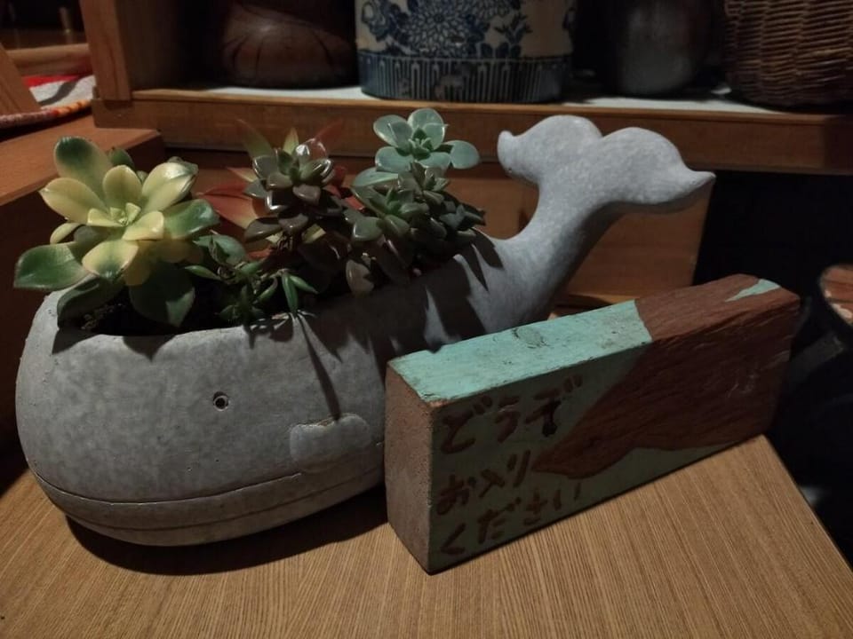 Ishinomaki民泊①/一軒家の個室/風呂トイレ共用/家族グループ旅行/wifi/猫島/松島 Vacation rental in Miyagi Prefecture