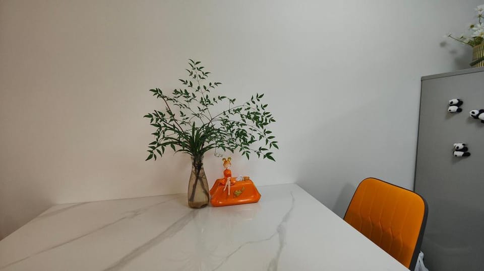 kunming   yunnan   china   大树营 市中心3室3床   近地铁3号 4号线 Apartment in China