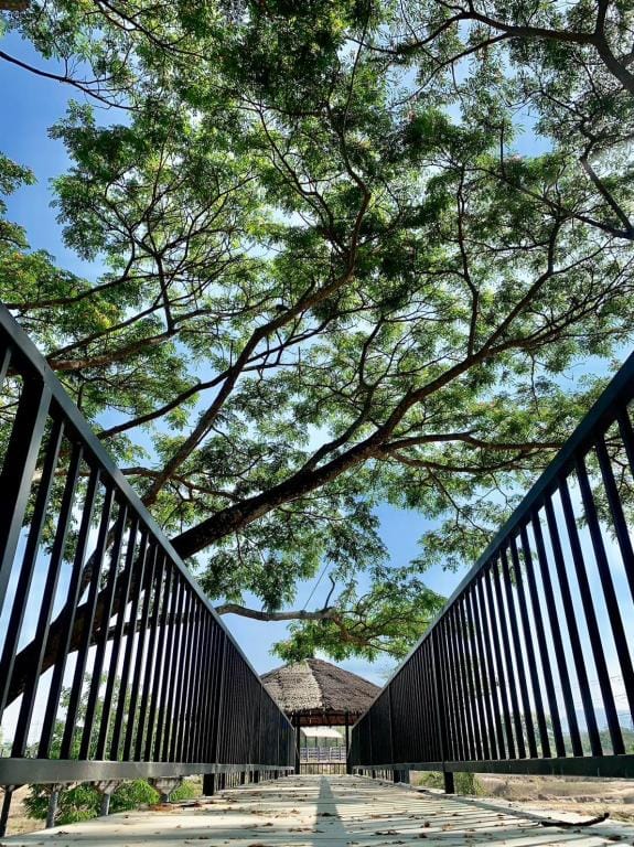 Elephant View Camp Villa in Thailand