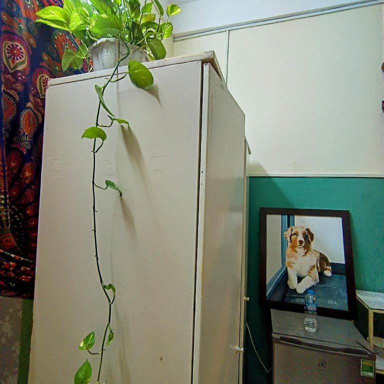 Lily's Palm house near Ben Thanh market Room 732 Apartment in Ho Chi Minh City