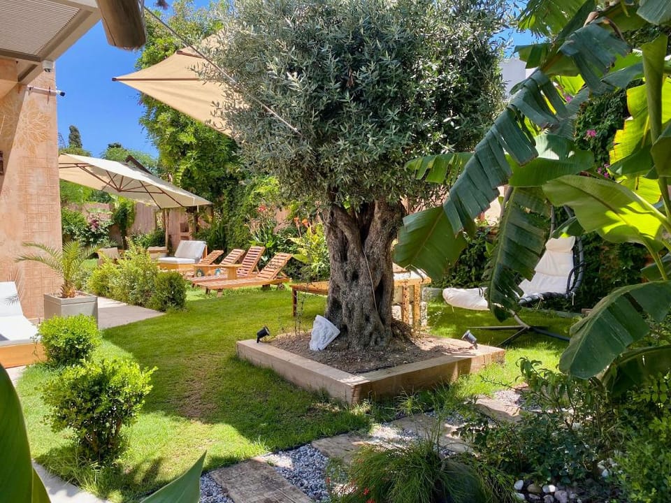 Sezz Hotels Spa Wellness Hotel in Bodrum