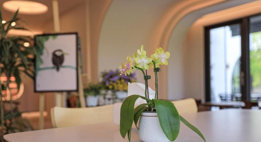 Cake and Sweet BnB Bed and Breakfast in Taiwan, Province of China