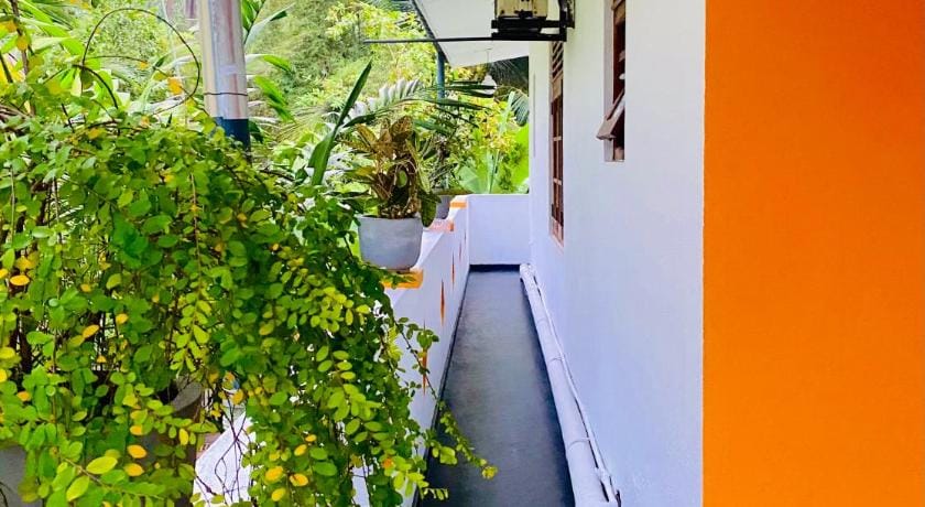 Mali Guest House Hotel in Hikkaduwa