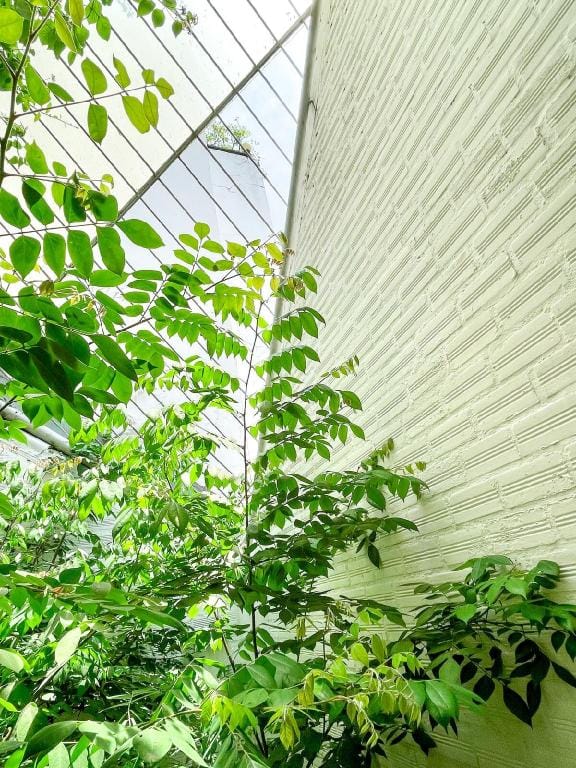 Hidden Urban Tree House Vacation rental in Ho Chi Minh City