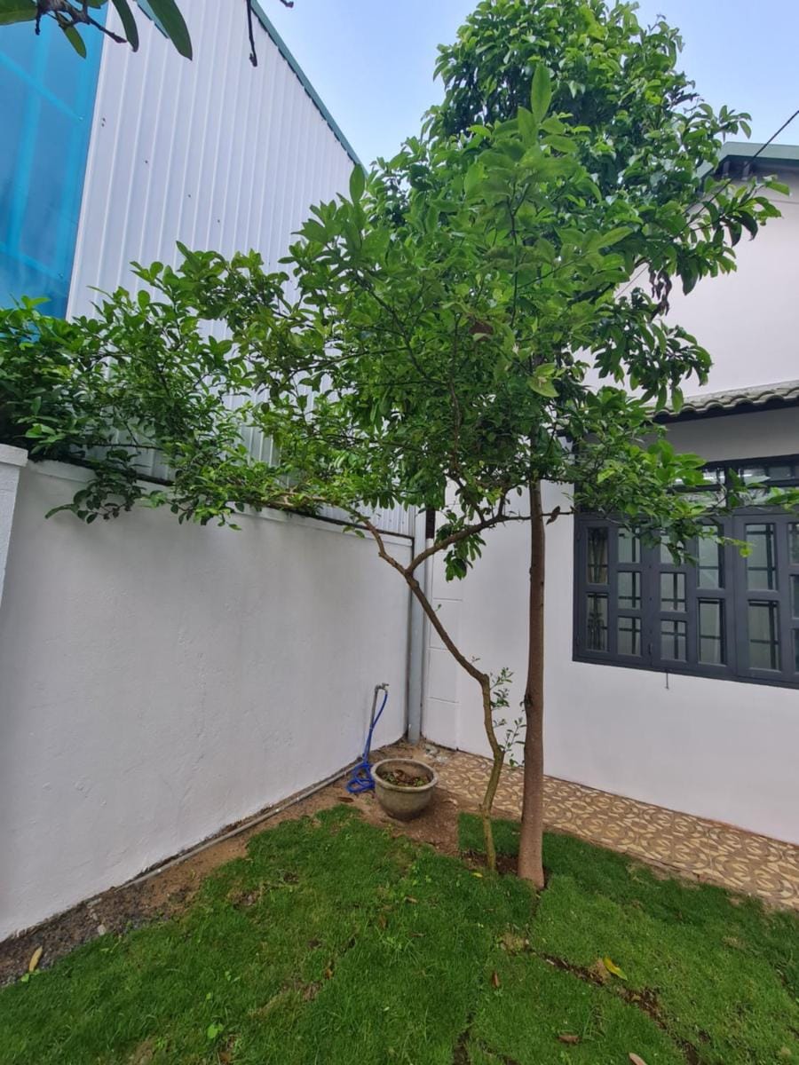 Heal Garden  homestay Apartment in Lâm Đồng