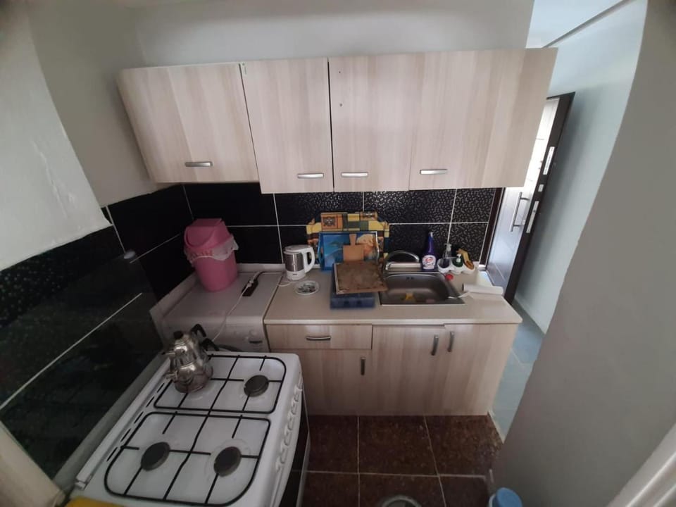 Seçkin 1+1 Apartment in Kusadasi
