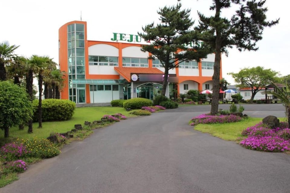 Jeju Feel House Pension Bed and Breakfast in South Korea