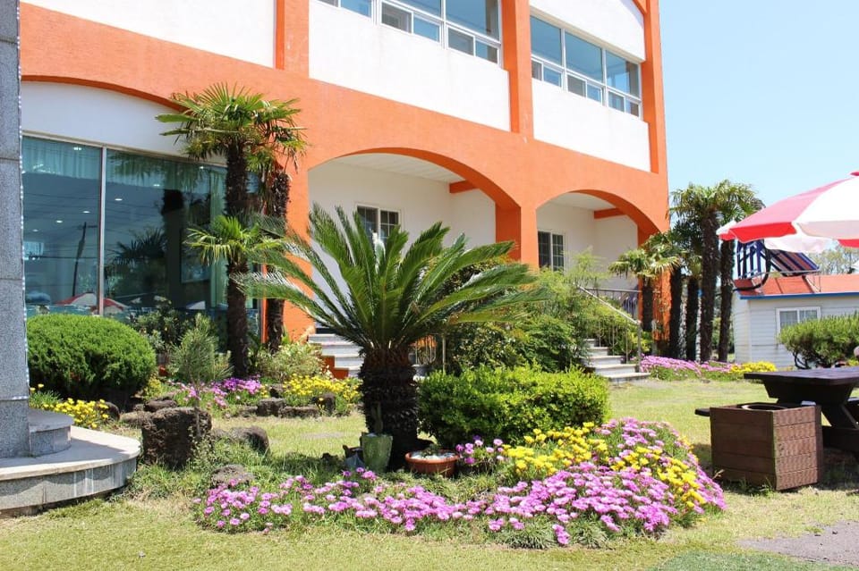 Jeju Feel House Pension Bed and Breakfast in South Korea