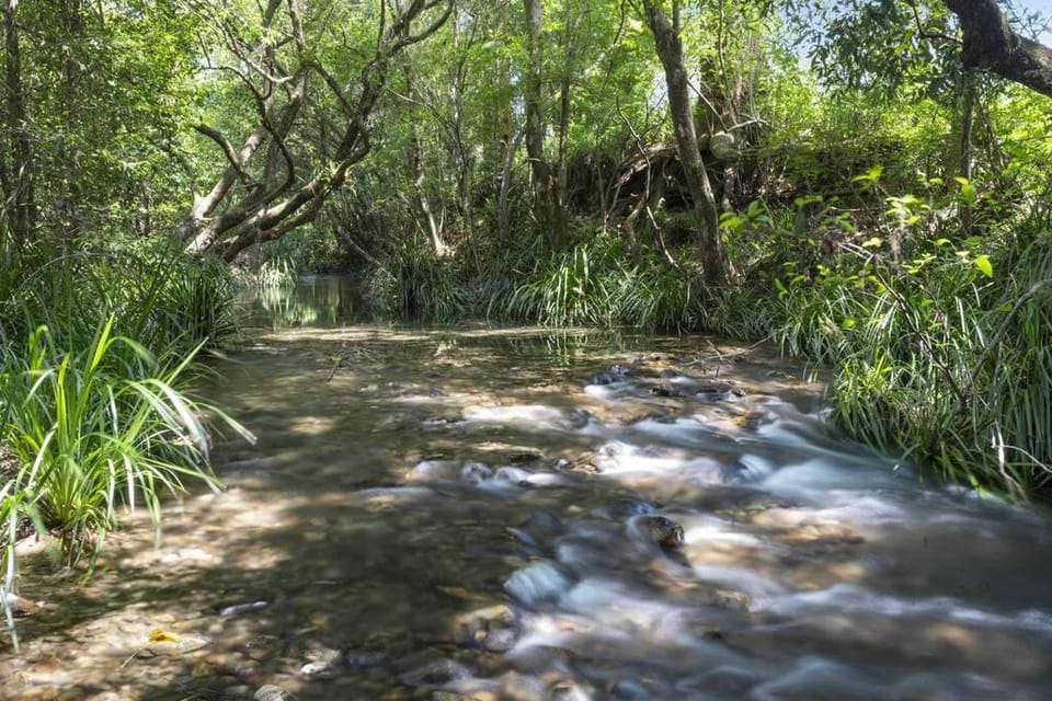 Sleep 9 @ Secluded Farmstay 12min to Coffs Harbour Vacation rental in New South Wales