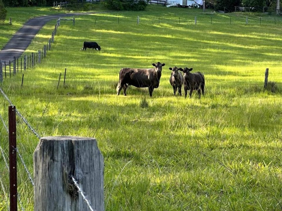 Sleep 9 @ Secluded Farmstay 12min to Coffs Harbour Vacation rental in New South Wales