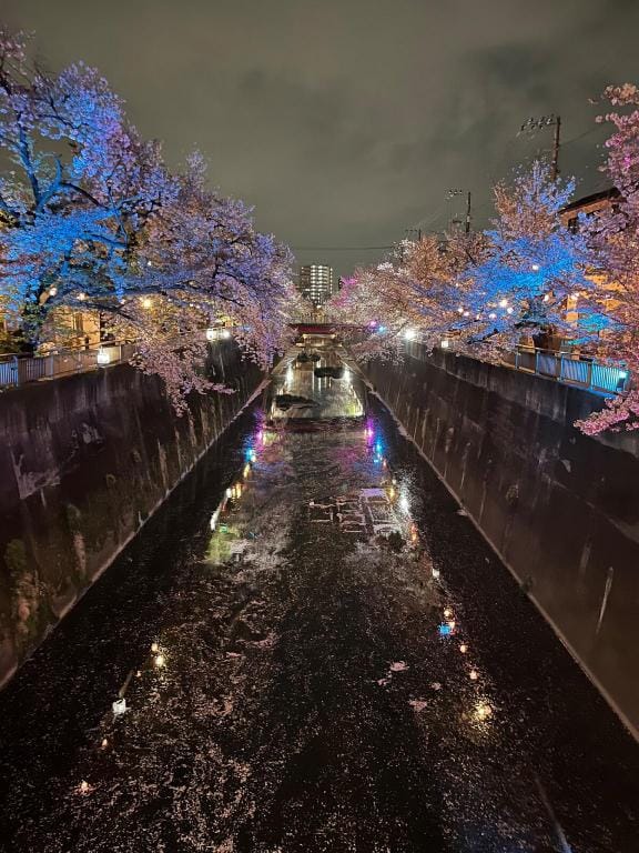 A赏樱名地/卧室樱花景观/全新装修一轩家/中板桥车站 徒步5分钟/ Vacation rental in Saitama Prefecture
