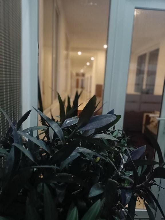 CENTRAL ABODE VANDIPERIYAR  9447052396 Apartment in Kerala