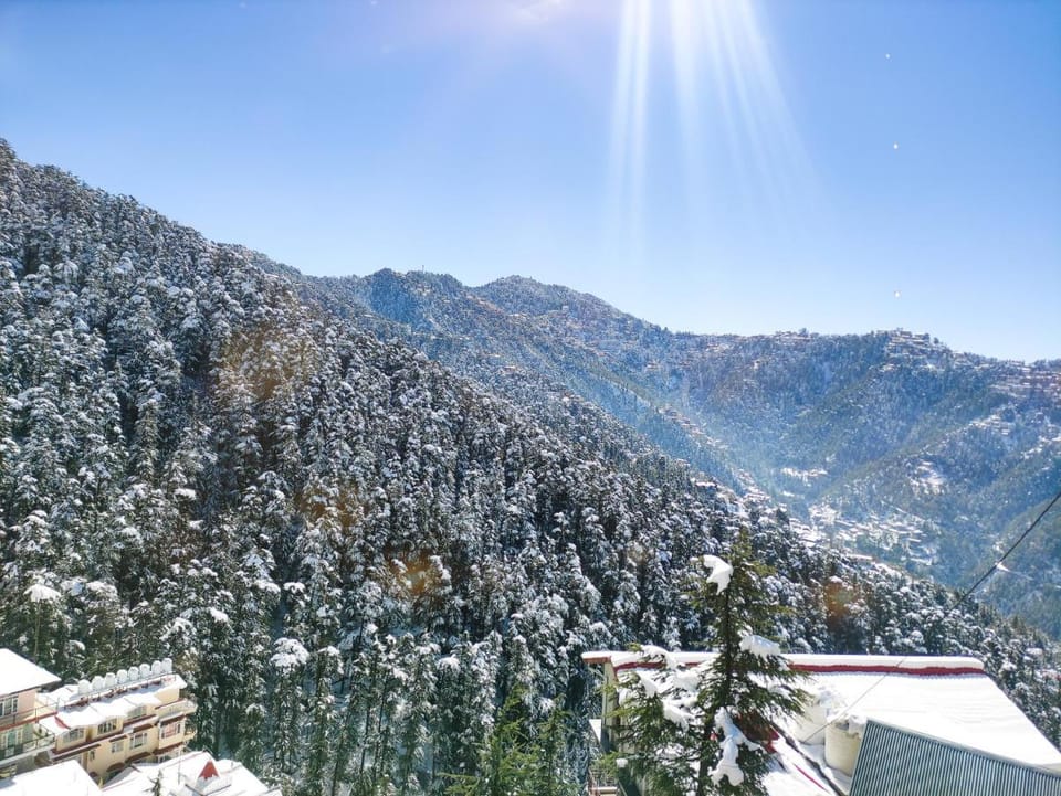 Frosty Woods Homestay Hotel in Himachal Pradesh