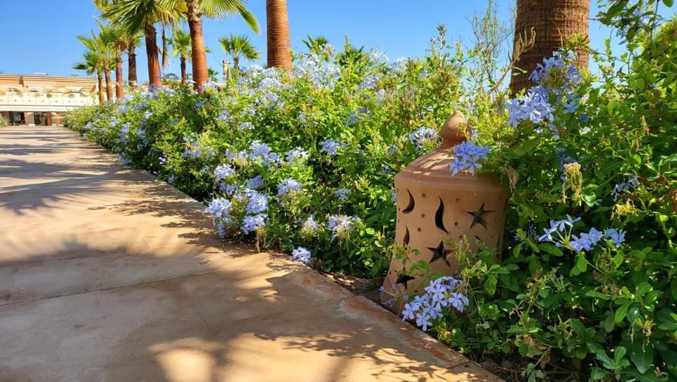 Hôtel Jardins de lina et lea Bed and Breakfast in Marrakesh-Safi