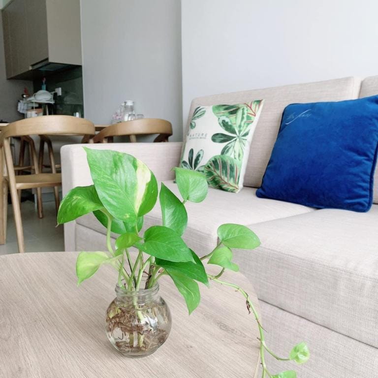 Tamy Home Apartment in Vung Tau