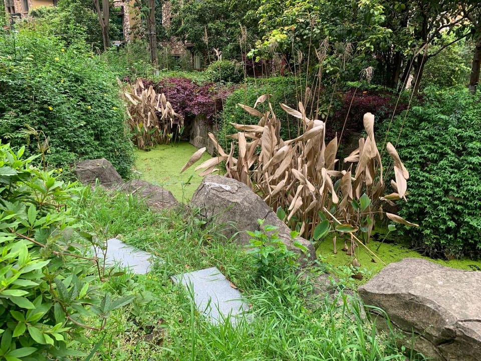 z楼下北辰三角洲地铁站/近五一广场/贺龙/太平老街橘子洲头/三馆一厅古开福寺湘雅附一/可月租房东直租 Vacation rental in China