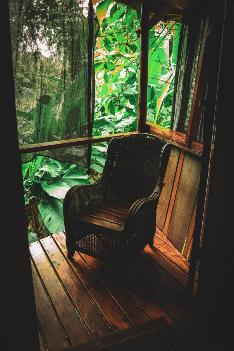 Flutterby House Hostel Hostel in Uvita