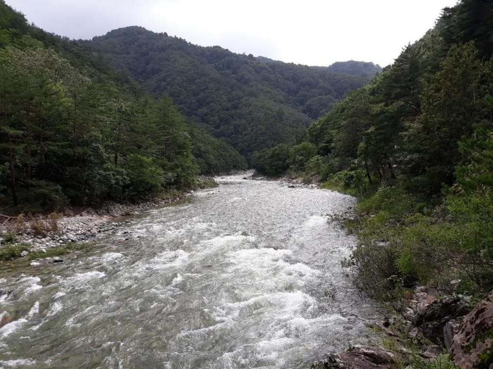 Yangyang Riverhill Pension Bed and Breakfast in South Korea
