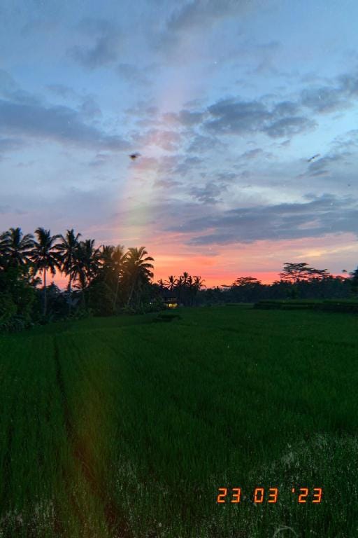 Dolce far niente Bali Vacation rental in Ubud