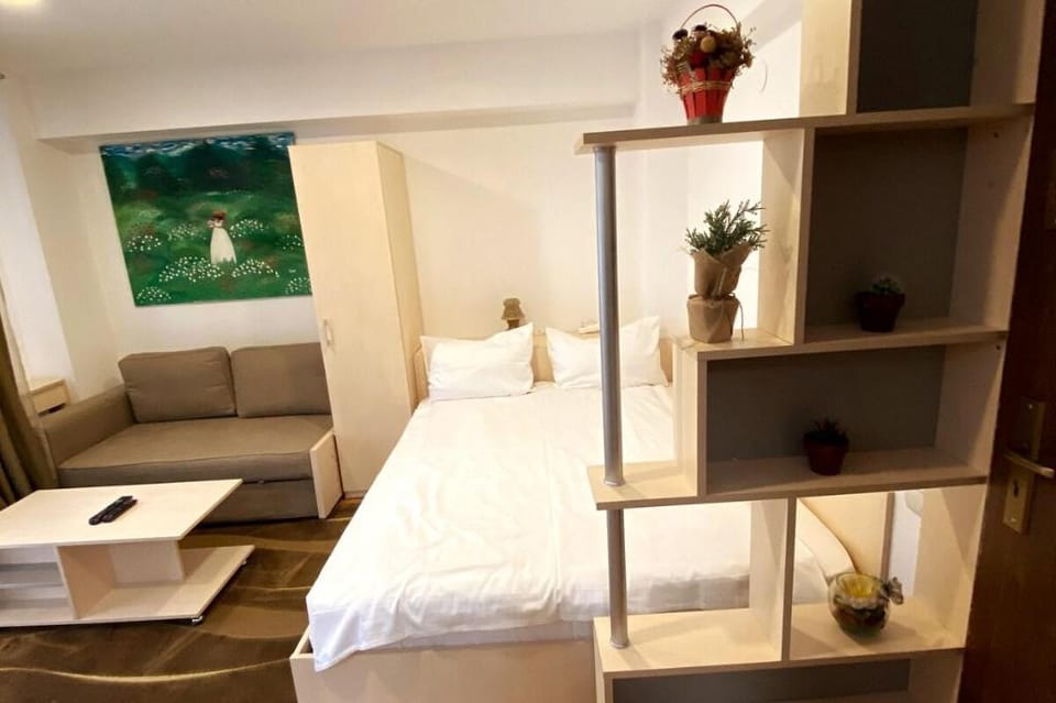 Studio Mirage Self Check-in & service Vacation rental in Sinaia