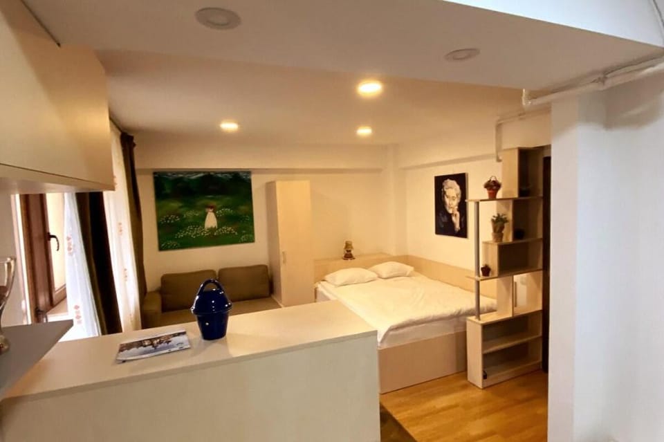 Studio Mirage Self Check-in & service Vacation rental in Sinaia