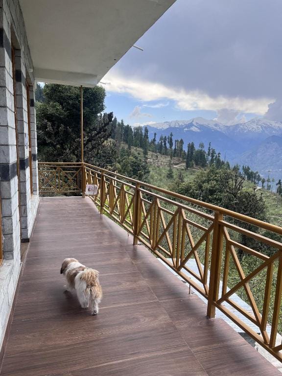 The Glass House Vacation rental in Himachal Pradesh