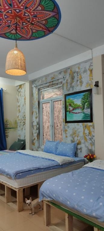 home stay pho cocheck in tu động-book phong online Apartment in Hanoi