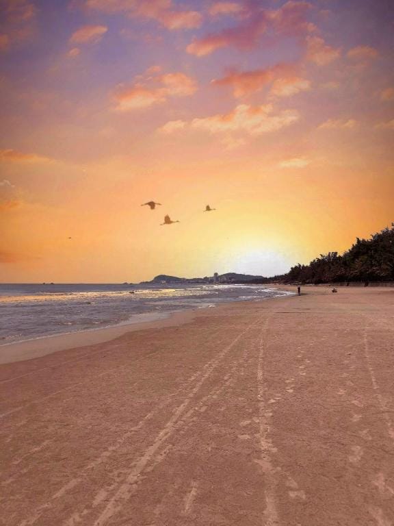 Aria Hotel & Resort Vũng Tàu - Free Bãi Tắm Riêng Apartment in Vung Tau