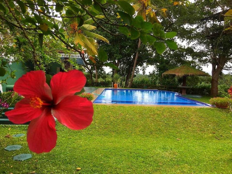 Villa Mandalay Sri Lanka - a unique luxury villa Villa in Western Province
