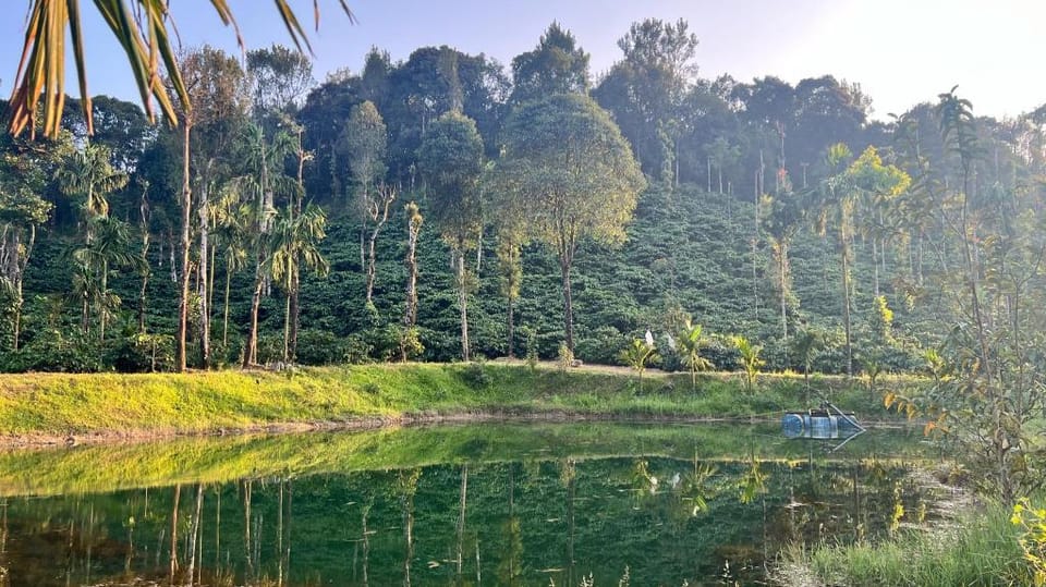 GandharCool Homestay Vacation rental in Karnataka