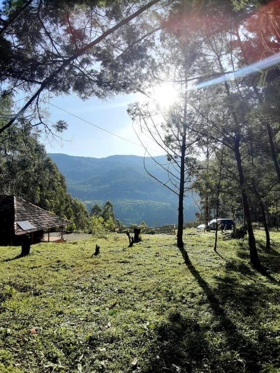 Nature Castle(Merin villa) Villa in Kerala