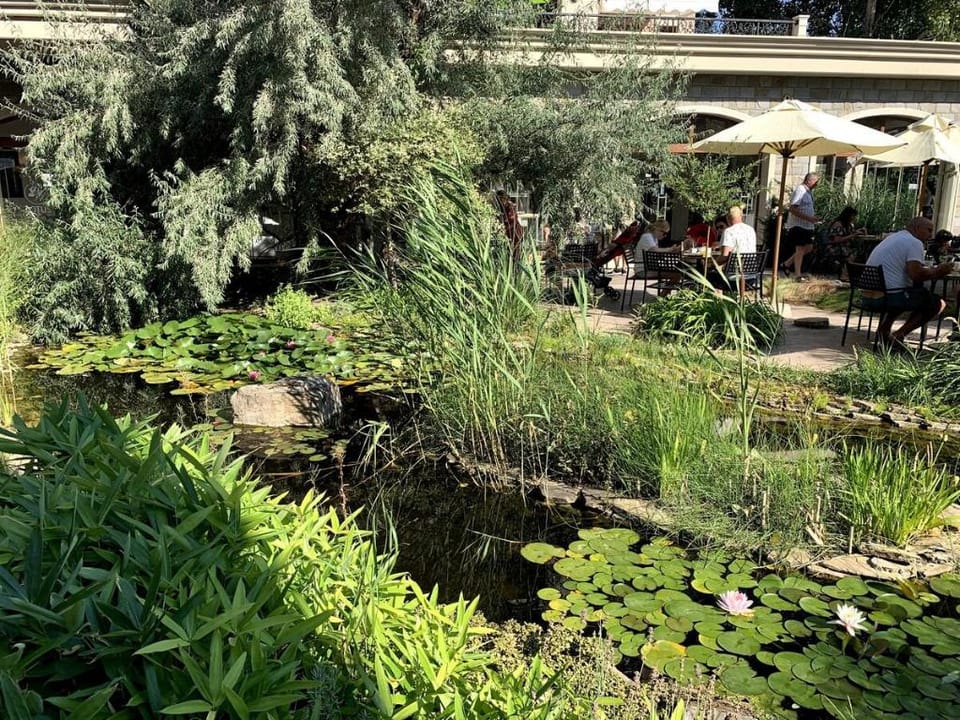 Luxury Orchid apartment, private garden, Cascadas Apartment in Sunny Beach