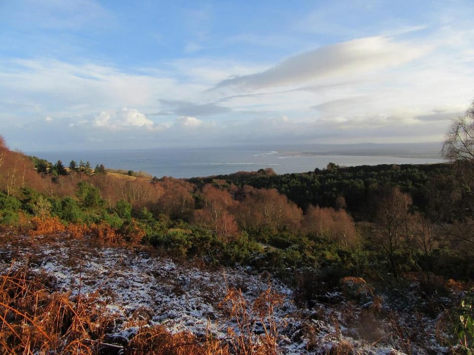 Osprey, Longhouse Cottages Hotel in Scotland