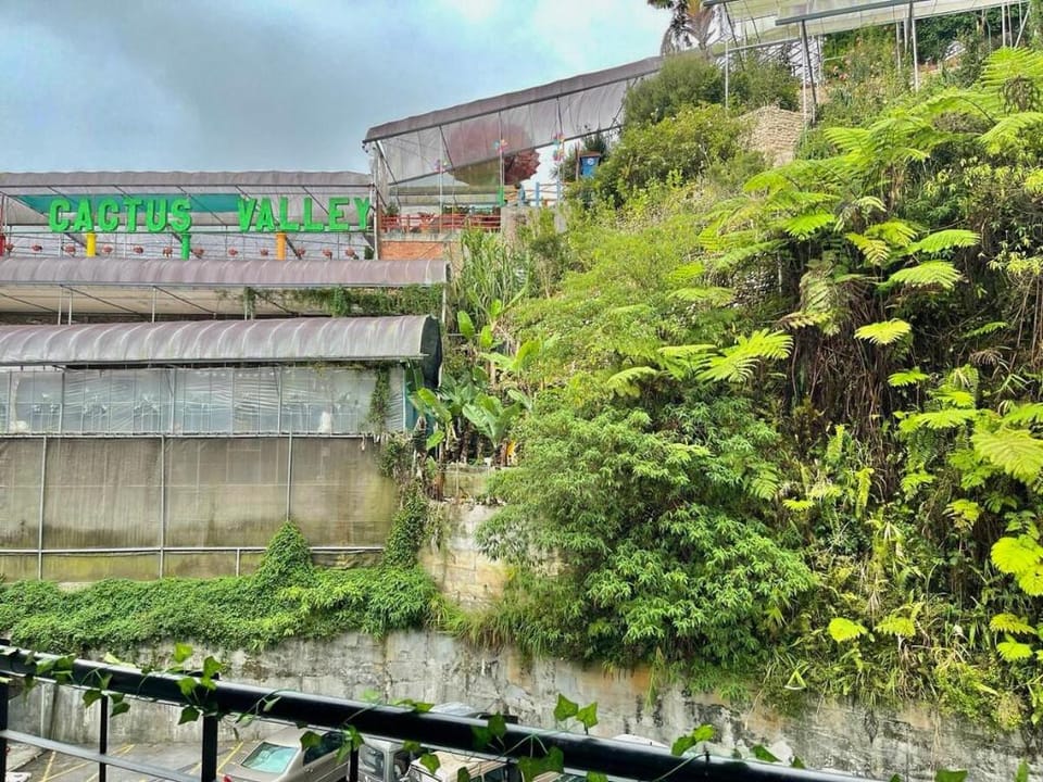 Ammara Homestay @ Cactus Apartment Brinchang Apartment in Brinchang
