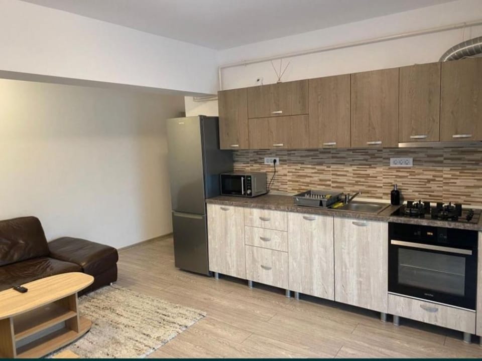 NU ESTE DISPONIBIL NU REZERVATI! Apartment in Romania