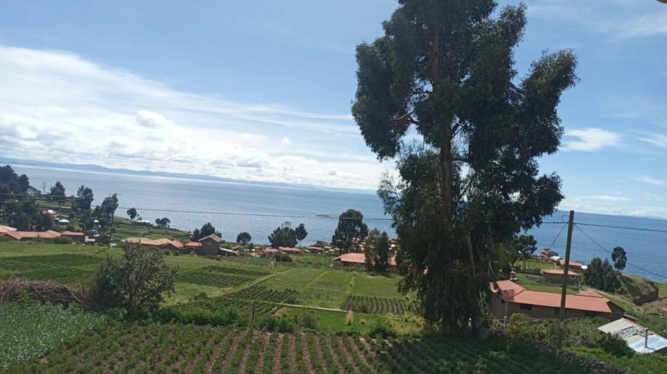 Juanito Lodge Apartment in Puno, Peru