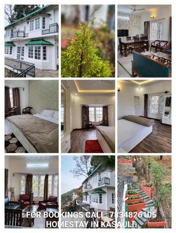 The Wildflower Kasauli  Vacation rental in Himachal Pradesh