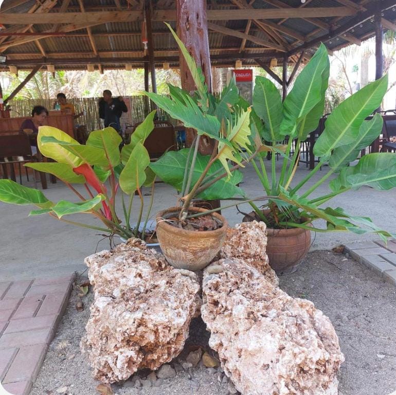 INNBOX CAMPSITE Campground/ 
RV Resort in Bolinao