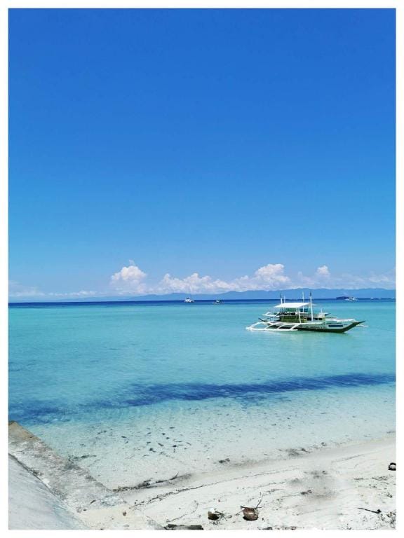 UNCLE PANDA DIVING & LOUNGE Hotel in Central Visayas