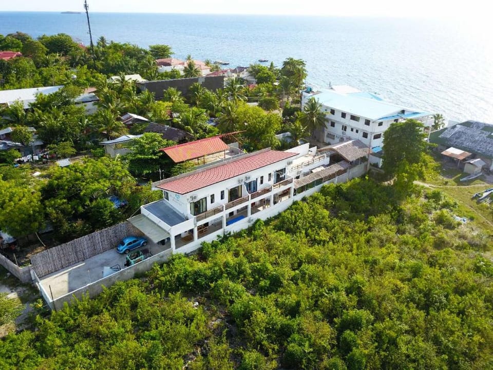 UNCLE PANDA DIVING & LOUNGE Hotel in Central Visayas