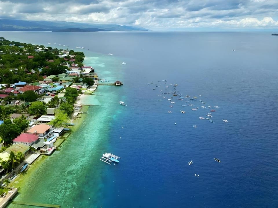 UNCLE PANDA DIVING & LOUNGE Hotel in Central Visayas