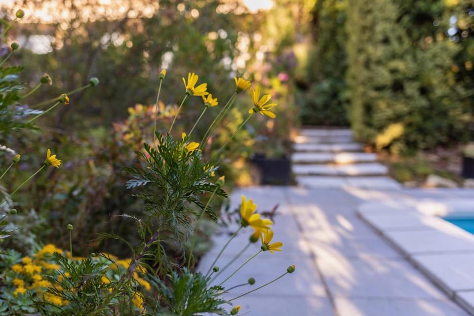 Mas del Flor Bed and Breakfast in Catalonia