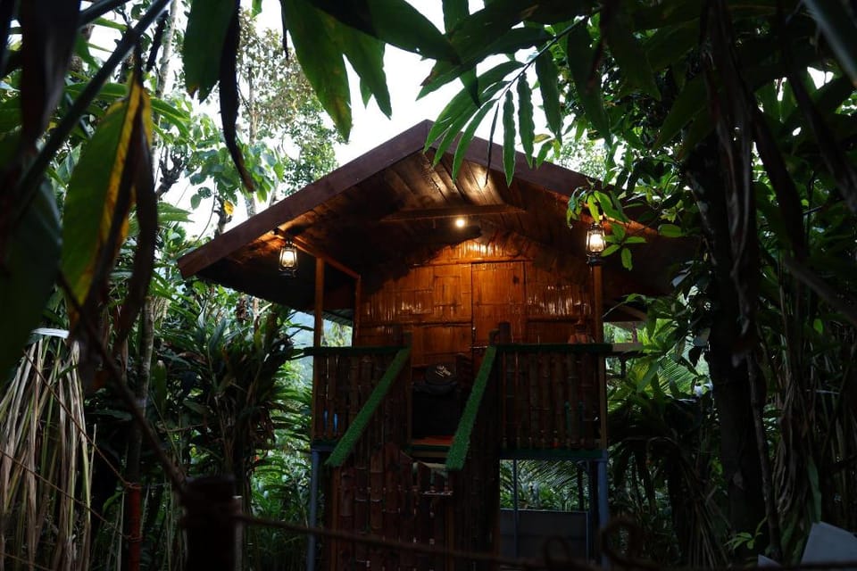 Green Fort Tree House  Villa in Kerala