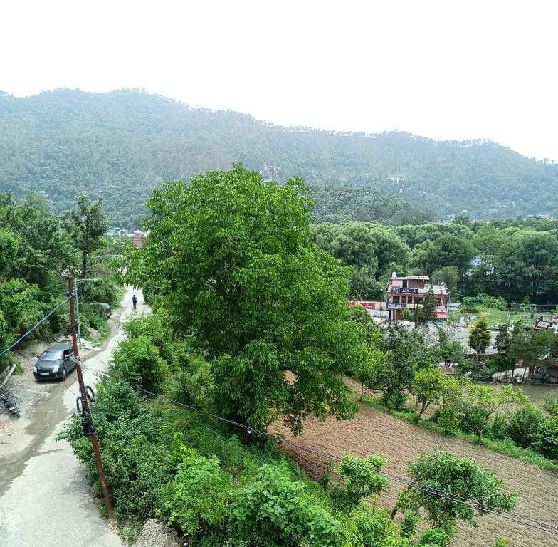 Herb Club Homestay  Vacation rental in Uttarakhand