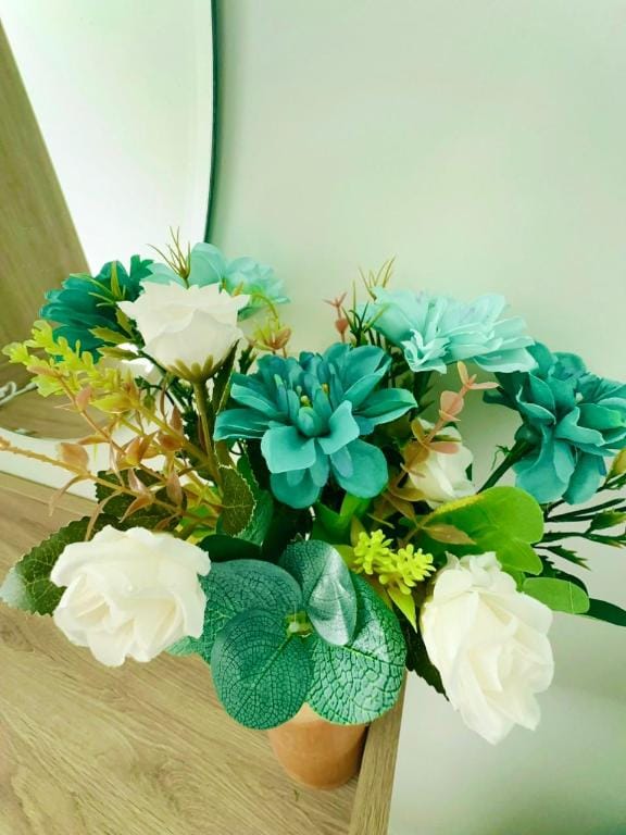 Homestay Hong Ha - The Song Apartment 1 Bedroom with 1.8m Bed Apartment in Vung Tau