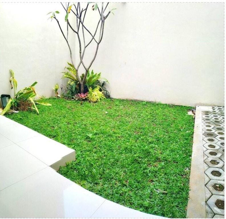 Omah Venus - Homestay Syariah Exclusive Vacation rental in East Java