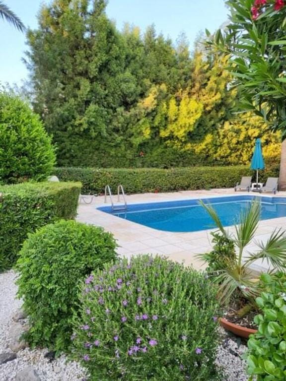 Coral Bay Villa Daniella Vacation rental in Peyia