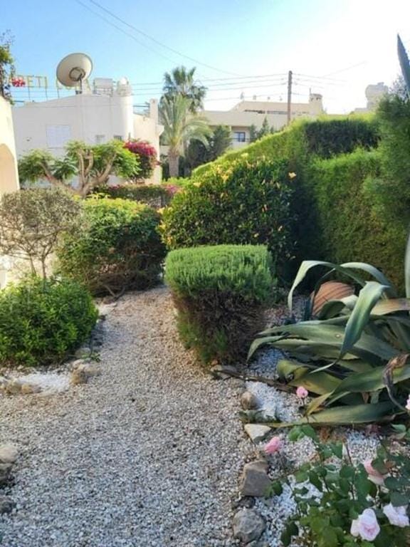 Coral Bay Villa Daniella Vacation rental in Peyia